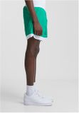 Starter Retro Shorts c.green