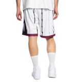 Mitchell &amp; Ness shorts Toronto Raptors white/white Swingman Shorts 