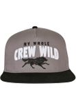 Cayler & Sons Crew Wild Cap grey/black